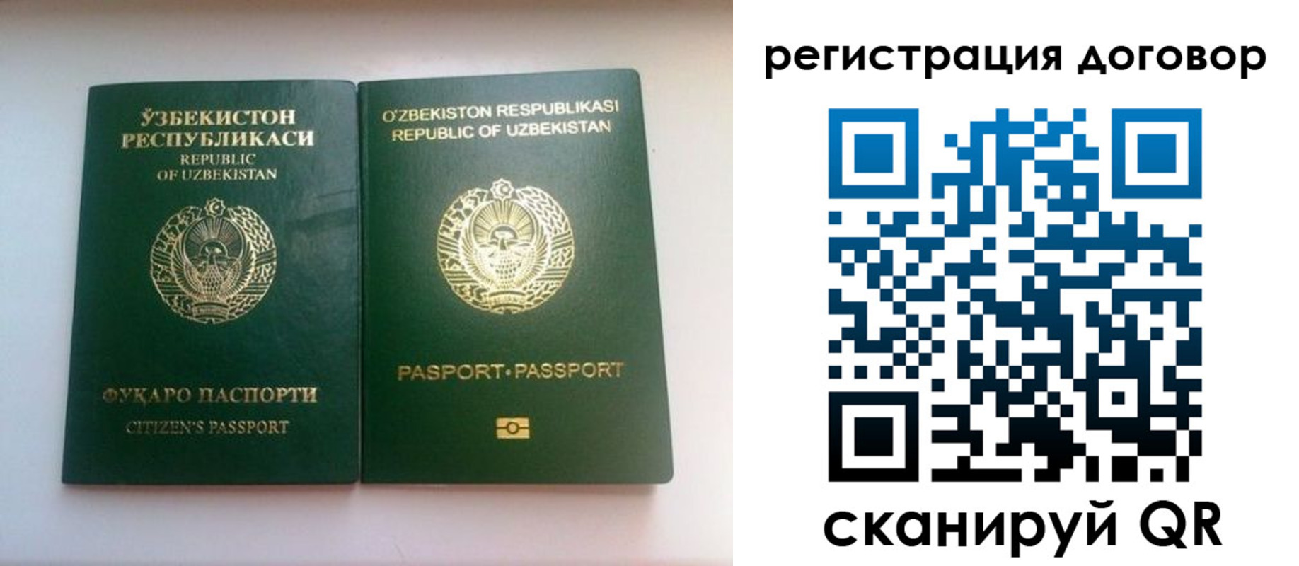 прописка в Грязях